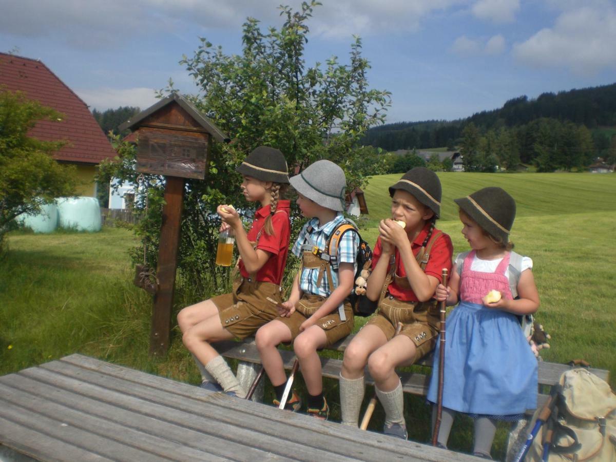 林区圣雅各布Urlaub Am Bauernhof Grabenhofer别墅 外观 照片