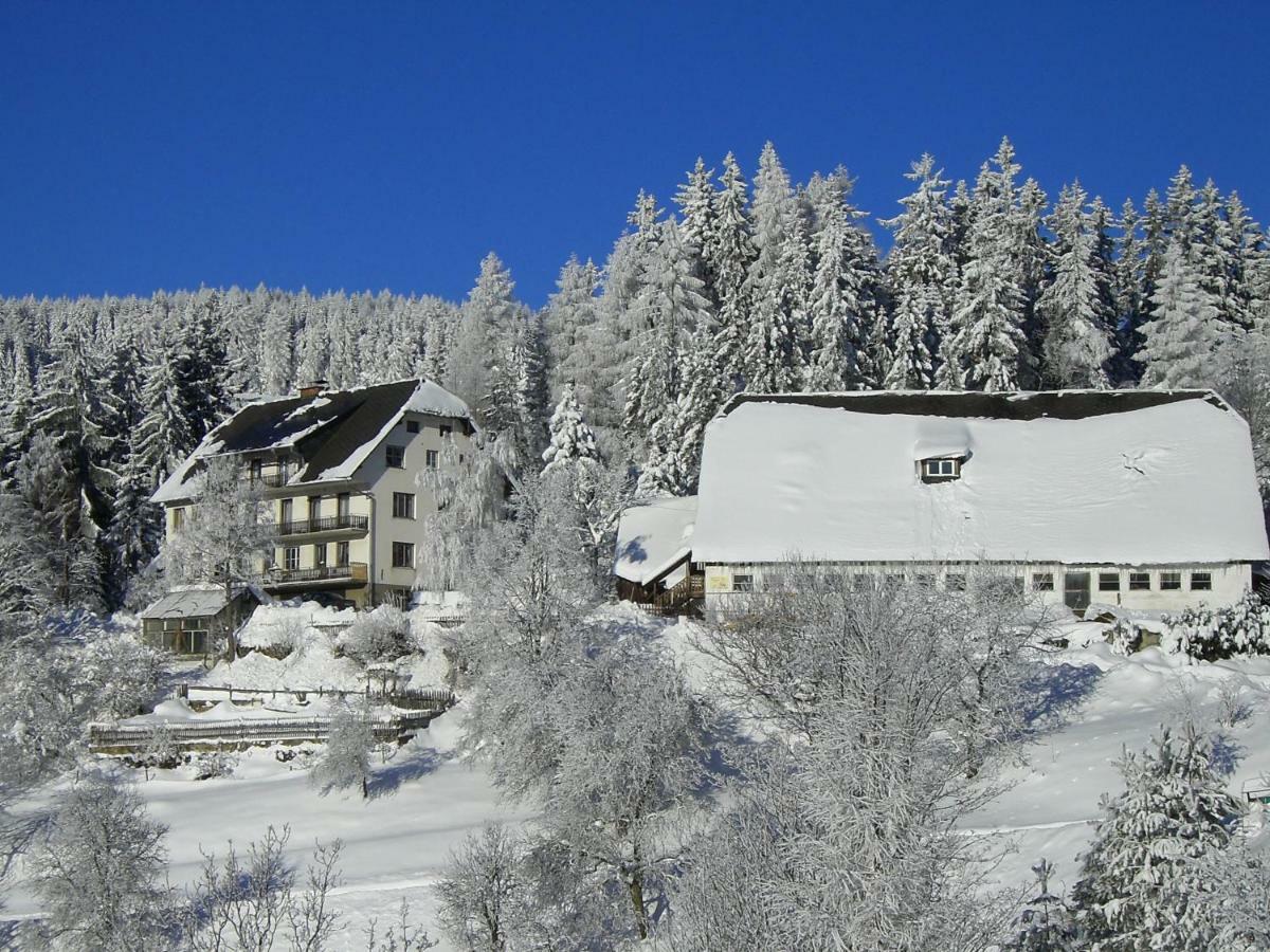 林区圣雅各布Urlaub Am Bauernhof Grabenhofer别墅 外观 照片