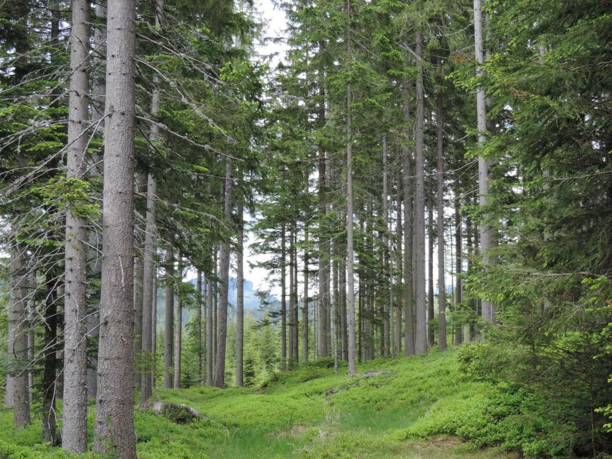 林区圣雅各布Urlaub Am Bauernhof Grabenhofer别墅 外观 照片