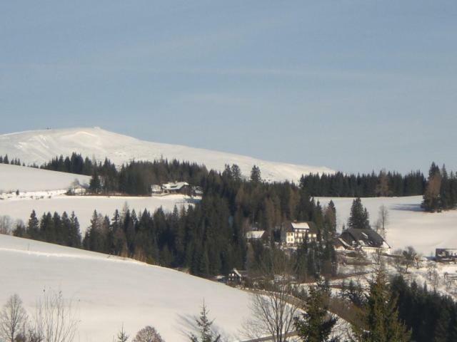 林区圣雅各布Urlaub Am Bauernhof Grabenhofer别墅 外观 照片