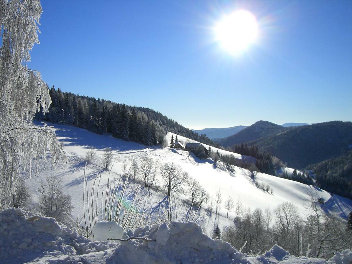 林区圣雅各布Urlaub Am Bauernhof Grabenhofer别墅 外观 照片